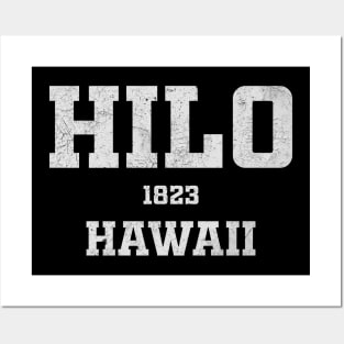 Hilo Hawaii Posters and Art